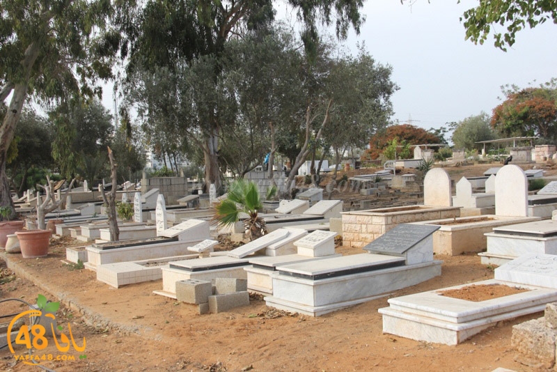 tasoooi3i1412 (36).JPG